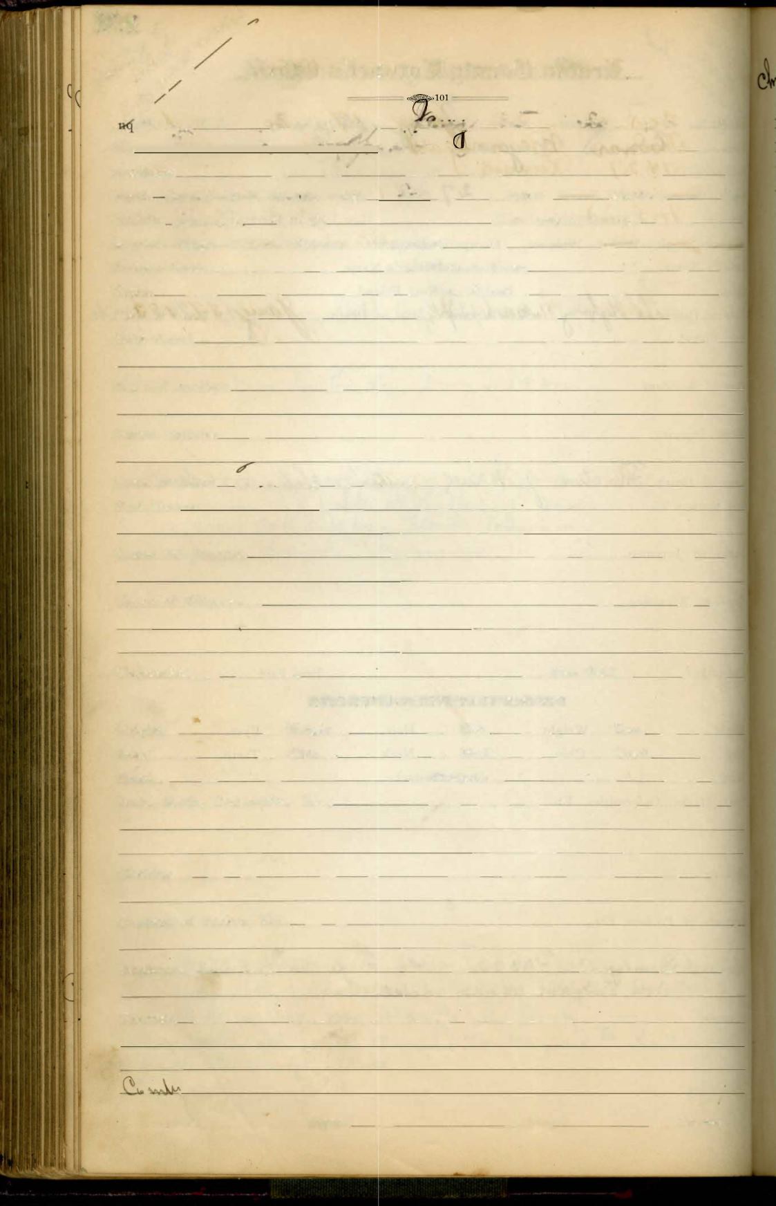 Page Background