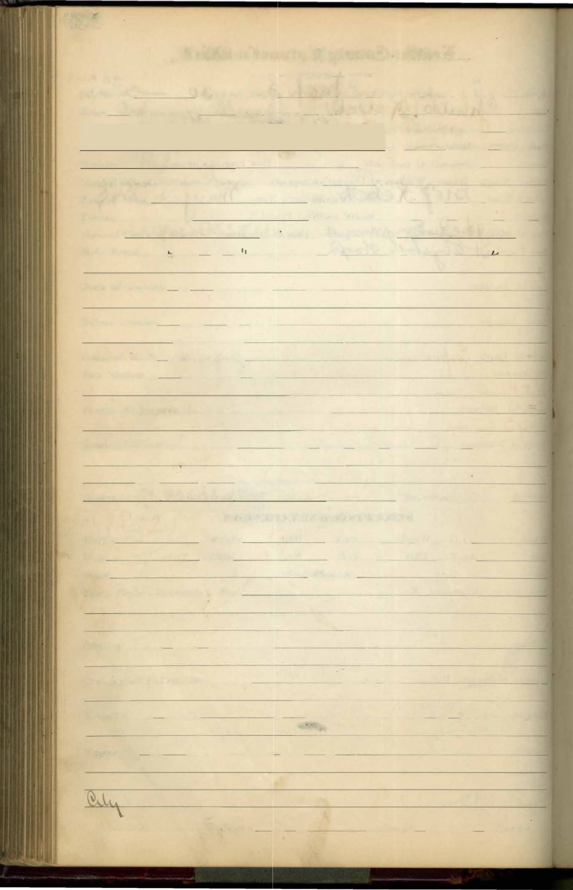 Page Background