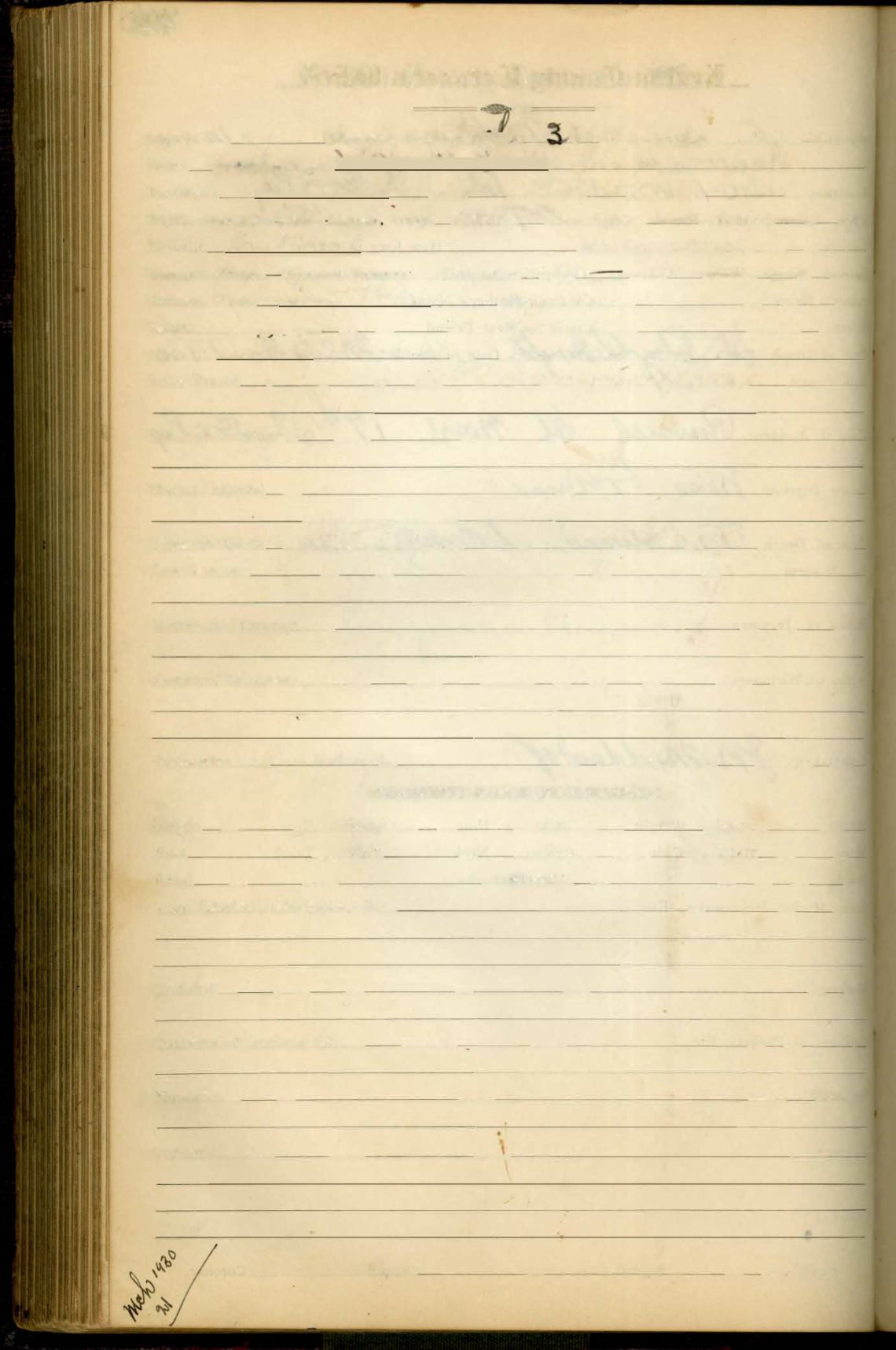 Page Background