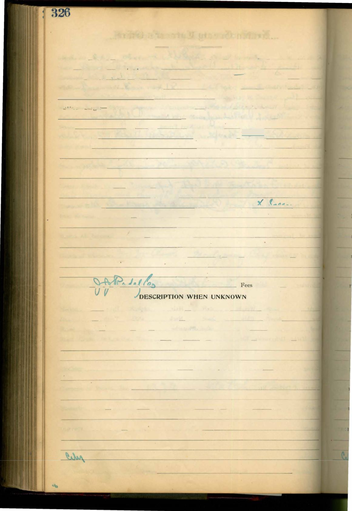 Page Background
