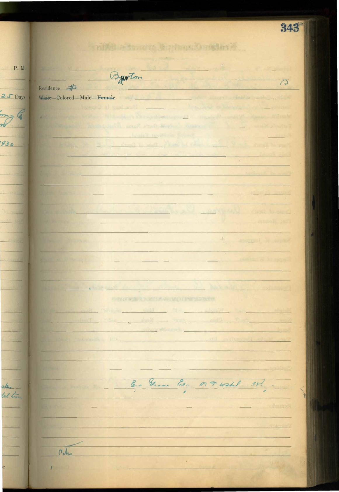Page Background