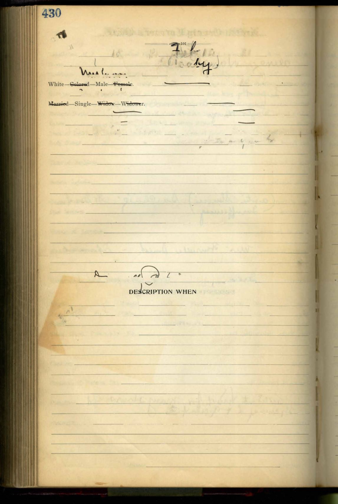 Page Background
