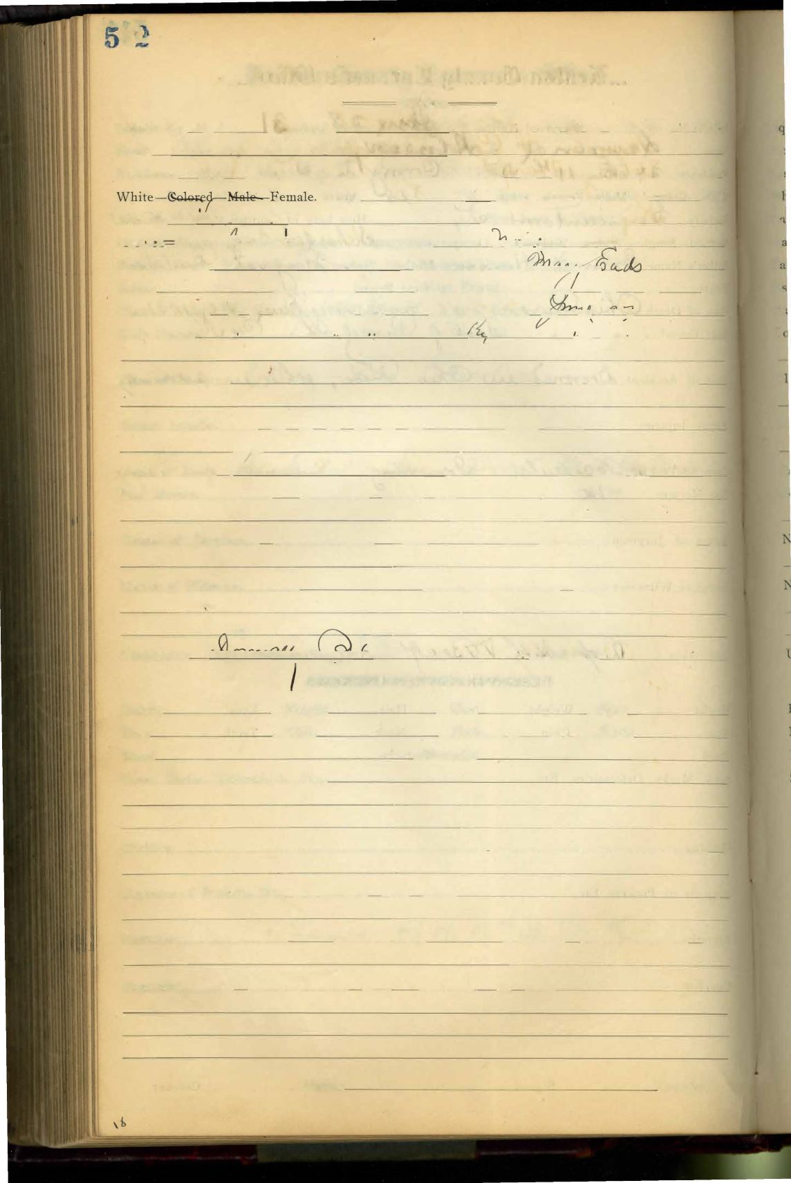 Page Background