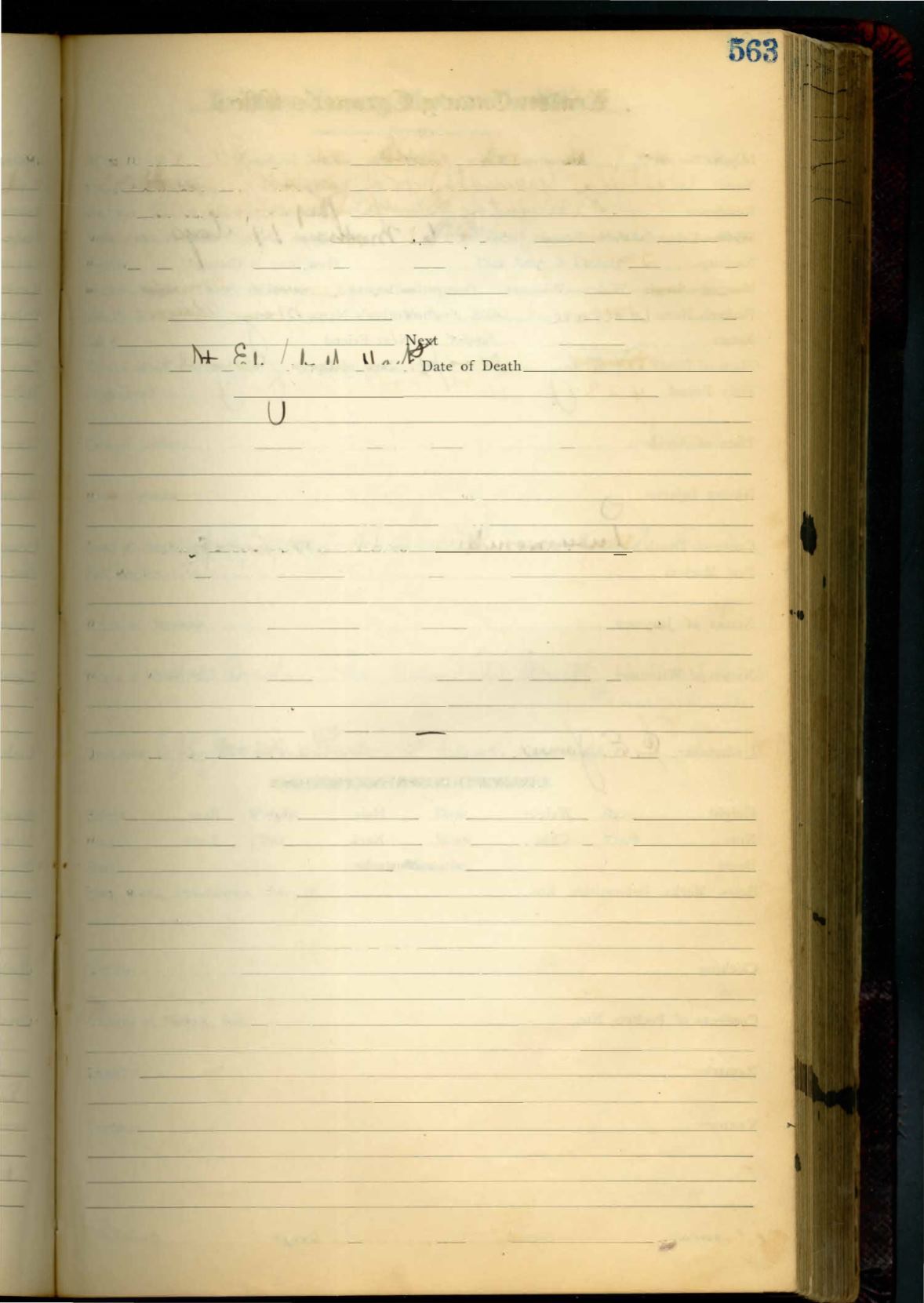 Page Background